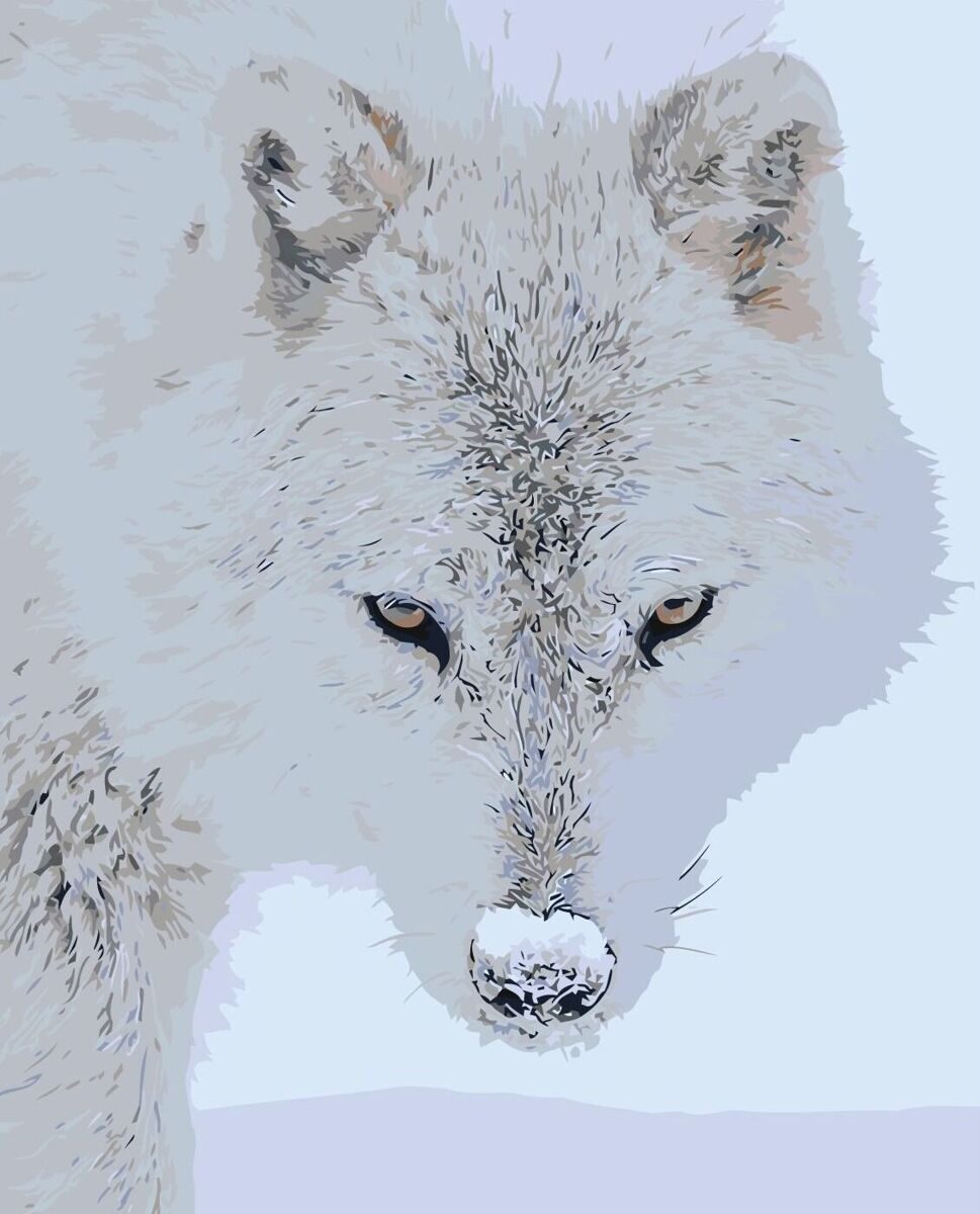 Полярный волк картина